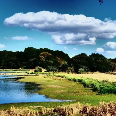 La Maison Du Sculpteur A Proche Puy Du F 3* Tiffauges