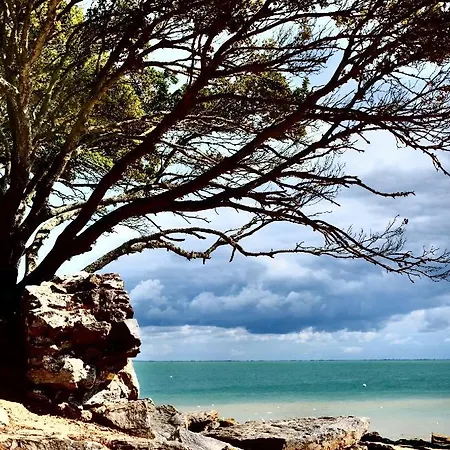La Maison Du Sculpteur A Proche Puy Du F 3* Tiffauges