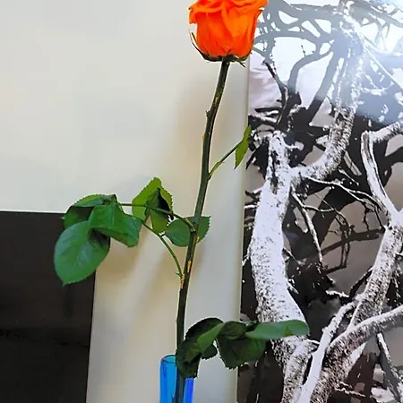La Maison Du Sculpteur A Proche Puy Du F 3* 티파우제스